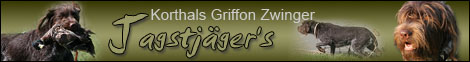 Korthals Griffon Zwinger Jagstjägers