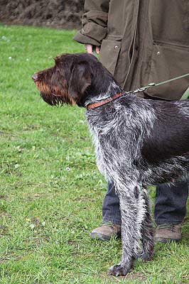 2012_04_21_295.JPG