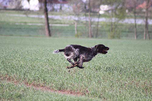 2012_04_21_054.JPG