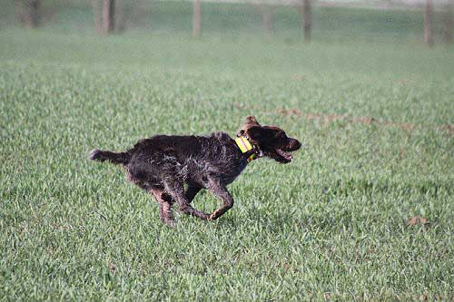 2012_04_21_072.JPG