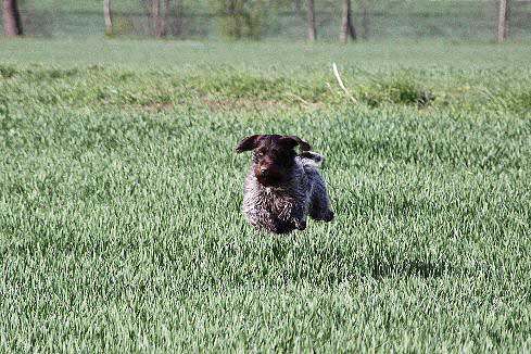 2012_04_21_104.JPG