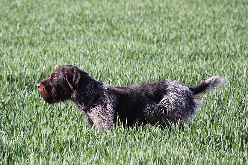2012_04_21_110.JPG