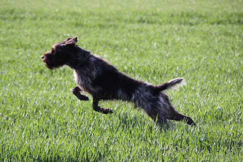 2012_04_21_114.JPG