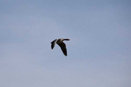 2012_04_21_130.JPG