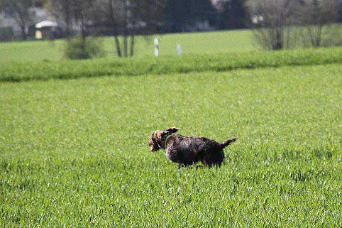 2012_04_21_145.JPG