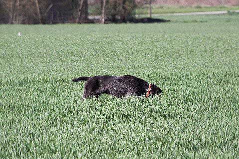 2012_04_21_158.JPG
