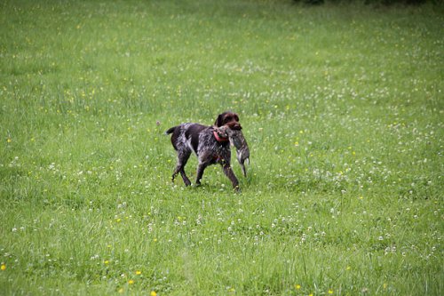 20090627-078.jpg
