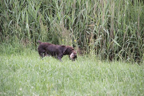 20090627-279.jpg