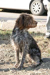 20080913-074.jpg