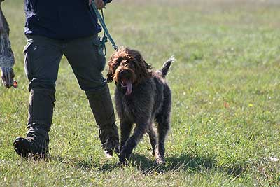 20080913-129.jpg