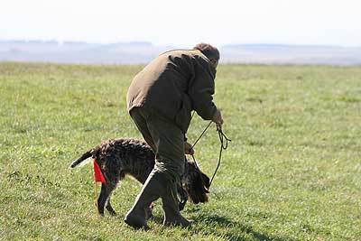 20080913-135.jpg