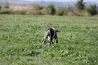 20080913-137.jpg