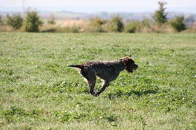 20080913-151.jpg