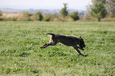 20080913-152.jpg