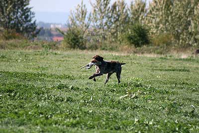 20080913-162.jpg