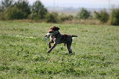 20080913-167.jpg