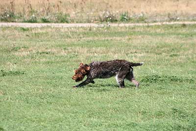 20080913-180.jpg