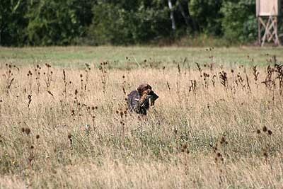 20080913-215.jpg