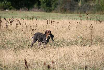 20080913-221.jpg