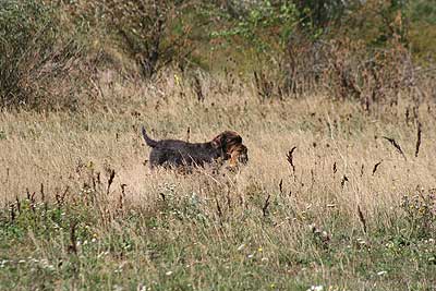 20080913-228.jpg