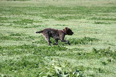 20080913-282.jpg
