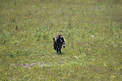 20080913-389.jpg