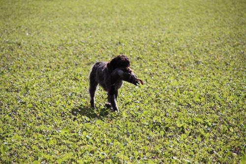 2010_09_18_031.JPG