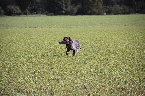 2010_09_18_035.JPG