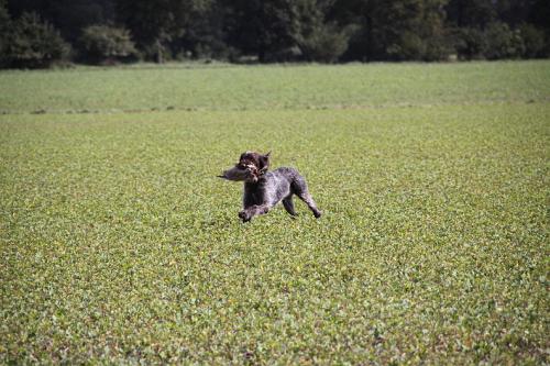 2010_09_18_036.JPG