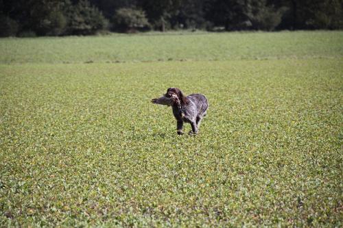 2010_09_18_037.JPG