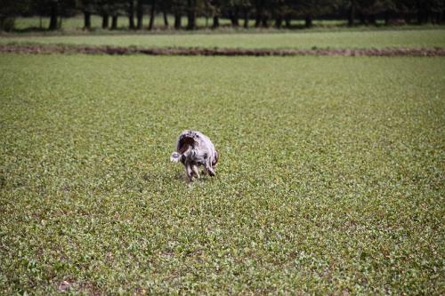 2010_09_18_042.JPG
