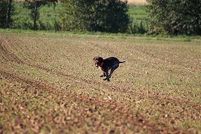 20080927-079.jpg