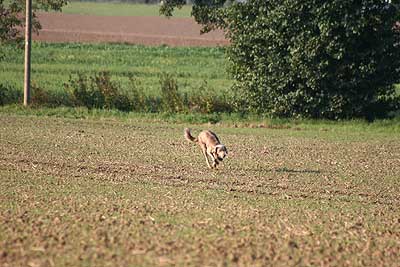 20080927-106.jpg