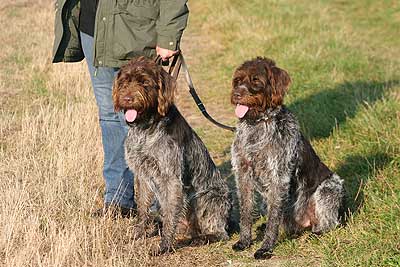 20080927-124.jpg