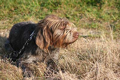 20080927-128.jpg