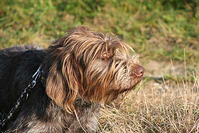 20080927-129.jpg