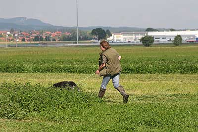 20080927-190.jpg