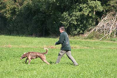 20080927-209.jpg