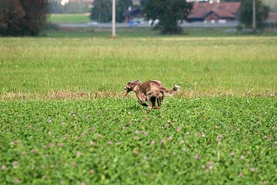 20080927-211.jpg