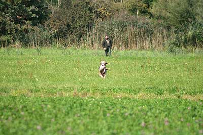 20080927-214.jpg