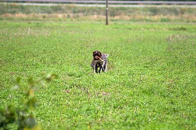 20080927-262.jpg