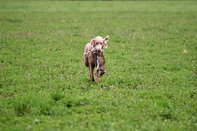 20080927-284.jpg