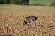 20080927-075.jpg