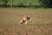 20080927-105.jpg