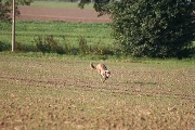 20080927-106.jpg