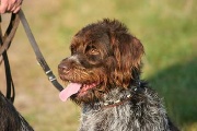 20080927-125.jpg