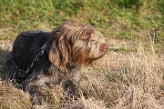 20080927-128.jpg