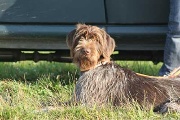 20080927-151.jpg