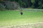 20080927-164.jpg