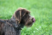 20080927-177.jpg